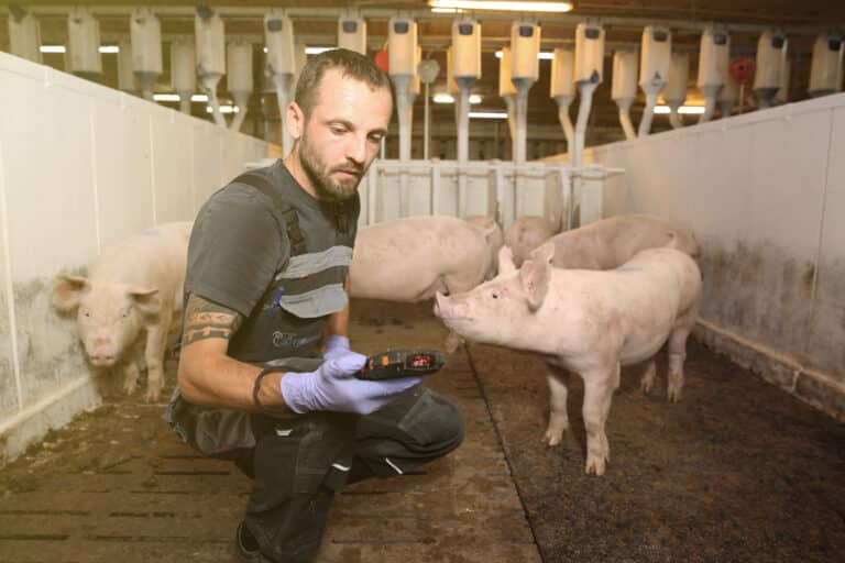 Cloudfarms smart pig management
