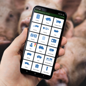 Cloudfarms Mobile App Effective Pig Management